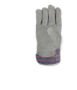 Afbeelding - https-www-ez-catalog-nl-Asset-6aa1cd953608469893b367609b3f3b63-ImageFullSize-2-03-36-160-00-palm-HR-jpg